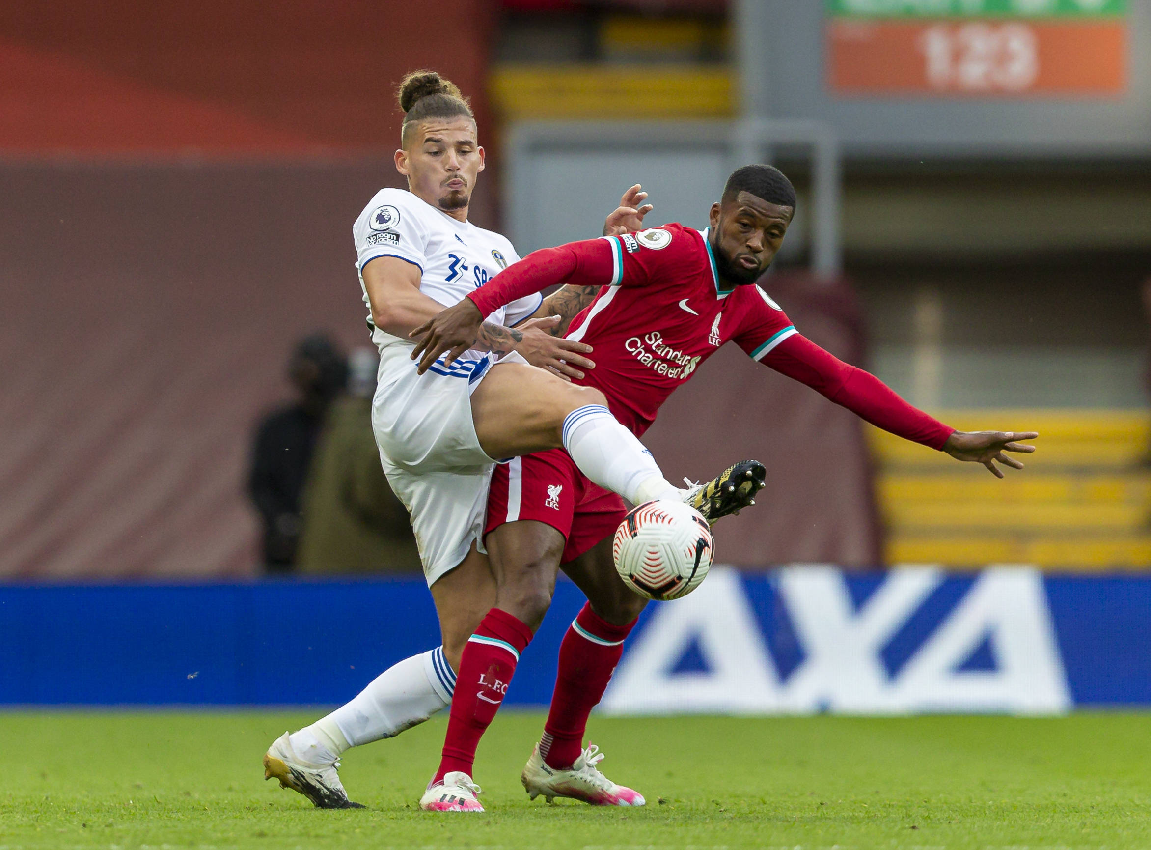 他们尽管杀 他们尽管杀