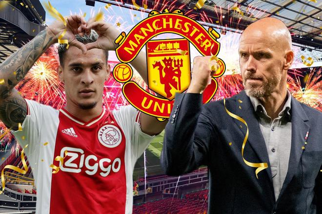 動組織者 動組織者